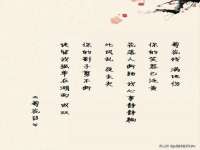 上海巨仁电子商务有限公司