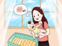 上海巨仁电子商务有限公司
