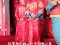 上海巨仁电子商务有限公司