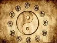 上海巨仁电子商务有限公司