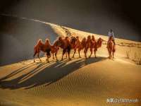 上海巨仁电子商务有限公司