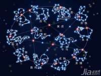 上海巨仁电子商务有限公司