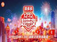 上海巨仁电子商务有限公司