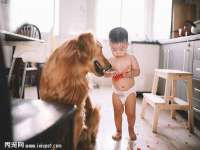 上海巨仁电子商务有限公司