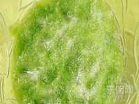 上海巨仁电子商务有限公司