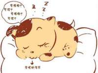 上海巨仁电子商务有限公司