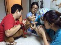 上海巨仁电子商务有限公司