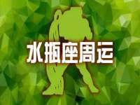 上海巨仁电子商务有限公司