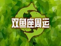 上海巨仁电子商务有限公司