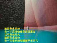 上海巨仁电子商务有限公司