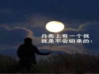 上海巨仁电子商务有限公司