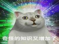 上海巨仁电子商务有限公司