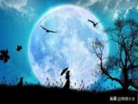 上海巨仁电子商务有限公司
