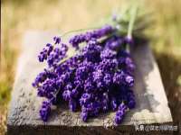 上海巨仁电子商务有限公司