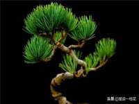 上海巨仁电子商务有限公司