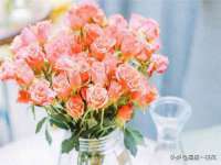 上海巨仁电子商务有限公司