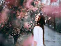上海巨仁电子商务有限公司