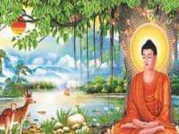 上海巨仁电子商务有限公司