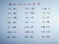 上海巨仁电子商务有限公司